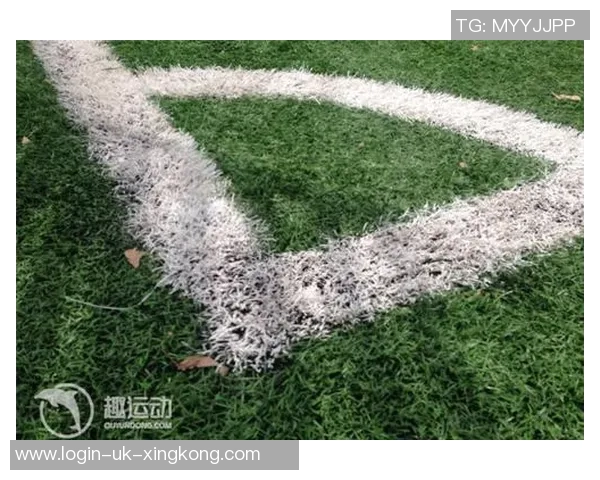 张江中学足球场租赁价格及使用注意事项详解